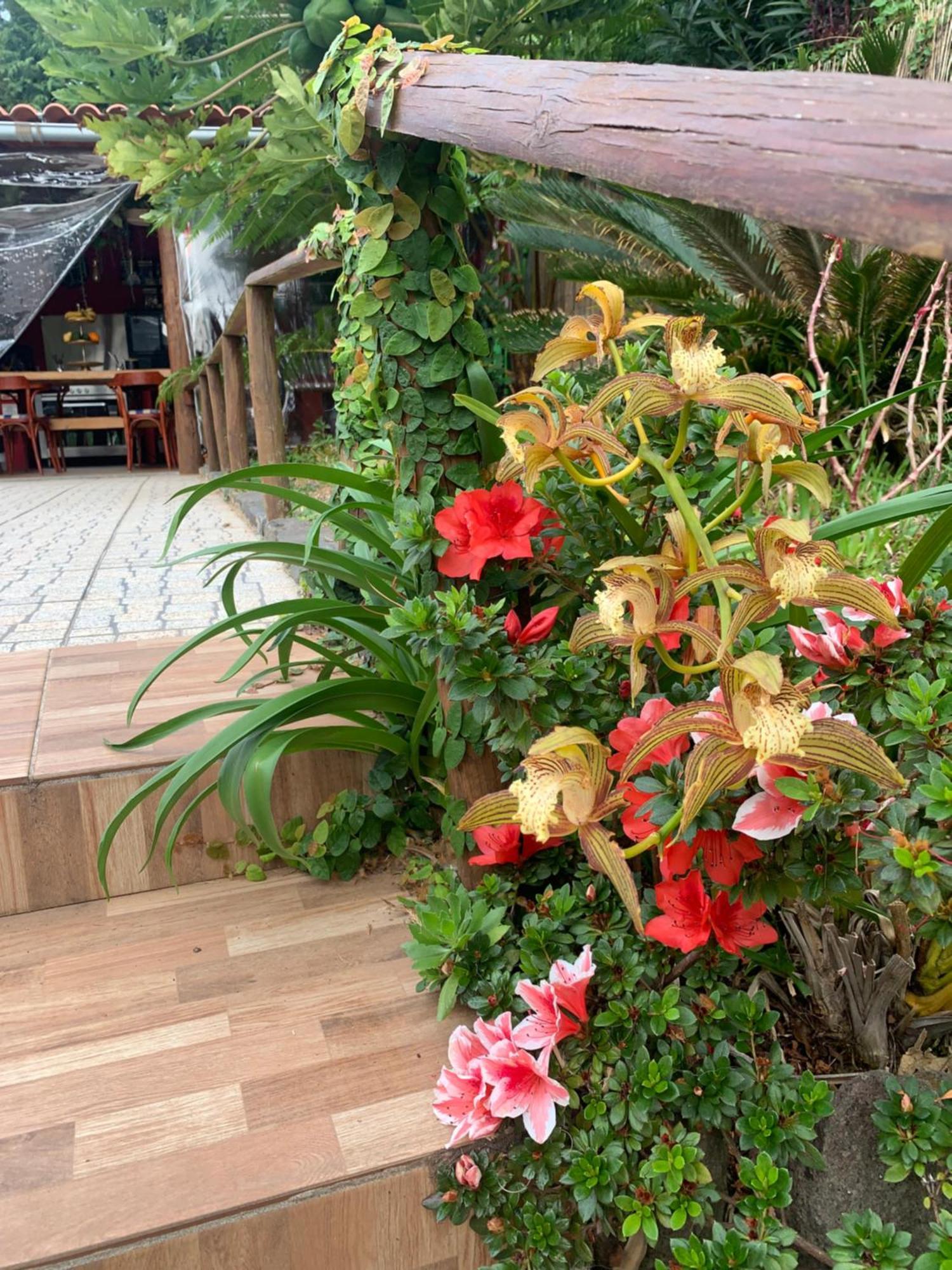 Bed and Breakfast Maderedocevida Boaventura Екстер'єр фото